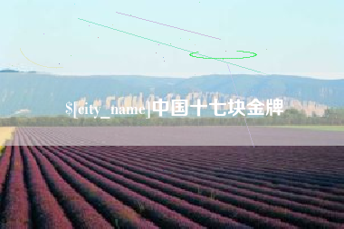 普洱中国十七块金牌