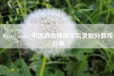 普洱中国消防救援学院录取分数线公布