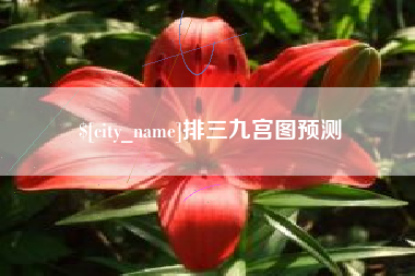 普洱排三九宫图预测