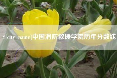 普洱中国消防救援学院历年分数线