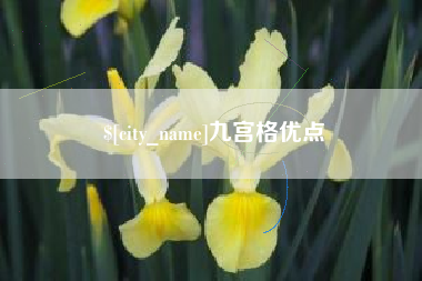 普洱九宫格优点