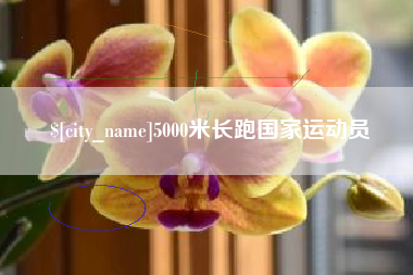 普洱5000米长跑国家运动员