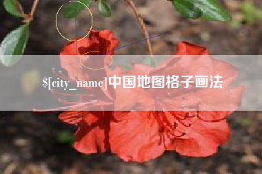 普洱中国地图格子画法