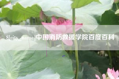 普洱中国消防救援学院百度百科