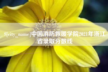 普洱中国消防救援学院2021年浙江省录取分数线