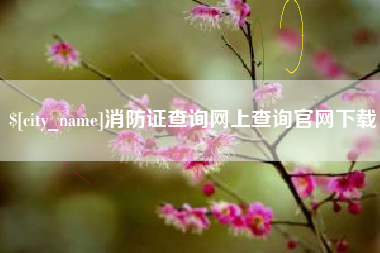 普洱消防证查询网上查询官网下载