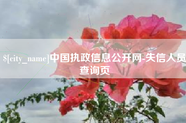 普洱中国执政信息公开网-失信人员查询页