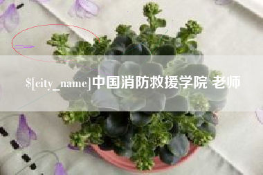 普洱中国消防救援学院 老师