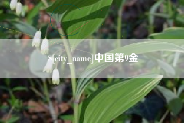 普洱中国第9金