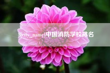 普洱中国消防学校排名