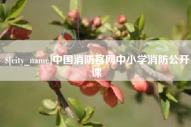 普洱中国消防官网中小学消防公开课