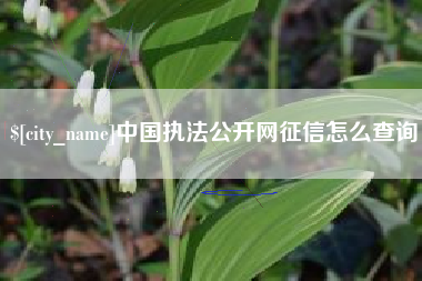 普洱中国执法公开网征信怎么查询