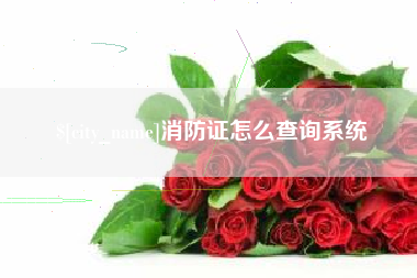 普洱消防证怎么查询系统