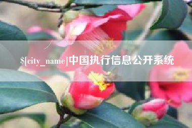 普洱中国执行信息公开系统