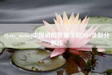 普洱中国消防救援学院2019录取分数线