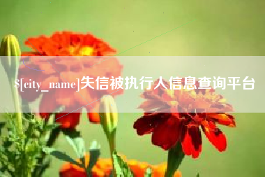 普洱失信被执行人信息查询平台