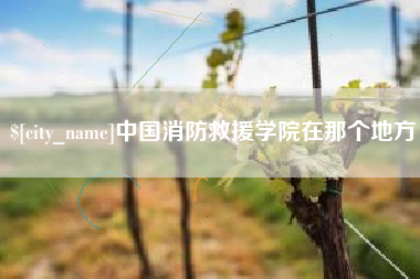 普洱中国消防救援学院在那个地方