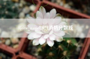 普洱2021消防分数线