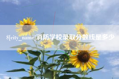 普洱消防学校录取分数线是多少