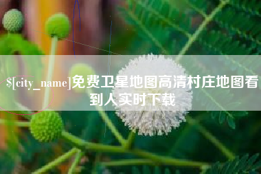 普洱免费卫星地图高清村庄地图看到人实时下载