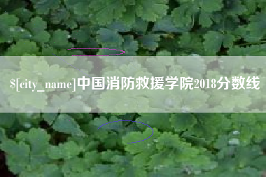 普洱中国消防救援学院2018分数线