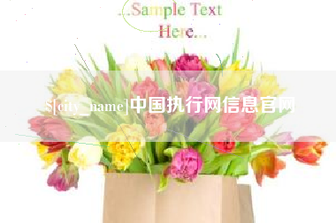 普洱中国执行网信息官网