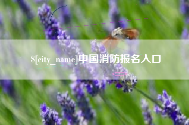 普洱中国消防报名入口
