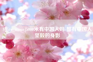 普洱5000米有中国人吗-都有中国人坚毅的身影