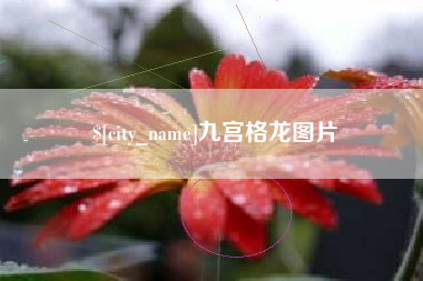 普洱九宫格龙图片