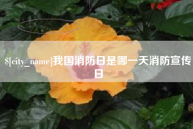 普洱我国消防日是哪一天消防宣传日