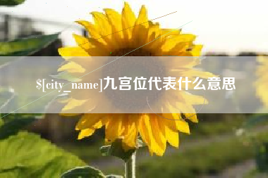 普洱九宫位代表什么意思
