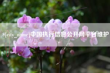 普洱中国执行信息公开网平台维护