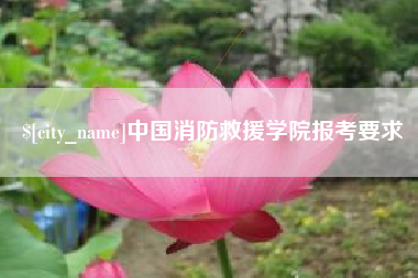 普洱中国消防救援学院报考要求