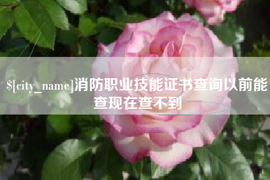 普洱消防职业技能证书查询以前能查现在查不到