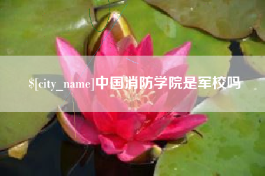 普洱中国消防学院是军校吗