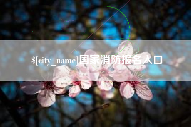 普洱国家消防报名入口