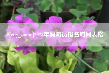 普洱2025年消防员报名时间表格