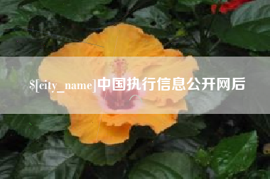 普洱中国执行信息公开网后