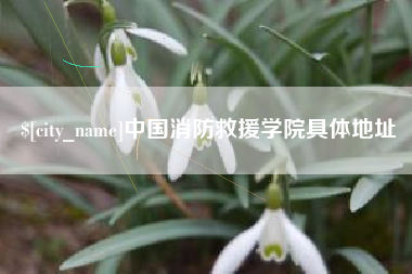 普洱中国消防救援学院具体地址