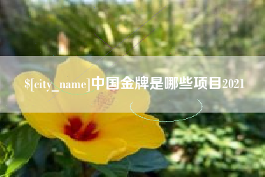 普洱中国金牌是哪些项目2021