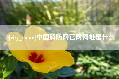 普洱中国消防网官网网址是什么