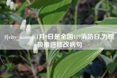 普洱11月9日是全国119消防日,为积极推进修改病句
