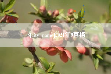 普洱2021年9宫格