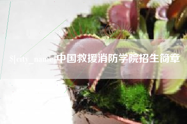普洱中国救援消防学院招生简章