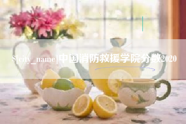 普洱中国消防救援学院分数2020