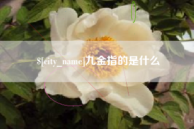 普洱九金指的是什么