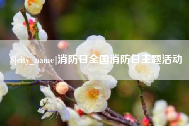 普洱消防日全国消防日主题活动