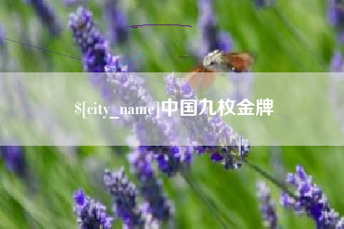 普洱中国九枚金牌