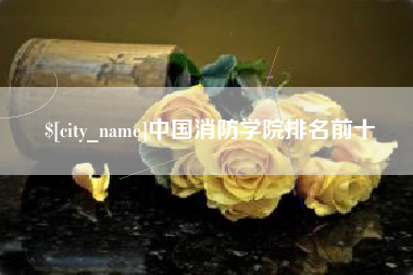 普洱中国消防学院排名前十