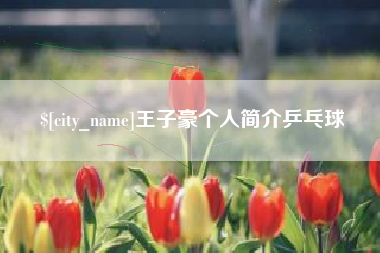 普洱王子豪个人简介乒乓球